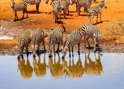 Circuit Douceurs du Kenya - 3