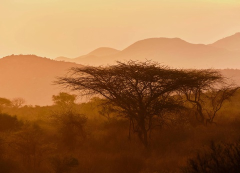 Circuit L'âme sauvage : voyage entre Kenya et Tanzanie - 21