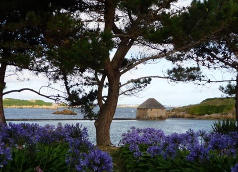 Camping Le Panoramic, 4* - 45