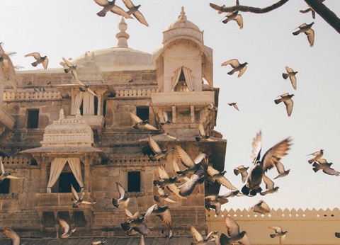 Circuit Sur la route des maharadjas - 19