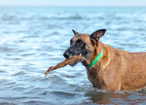 Camping Merendella, 4* - 78