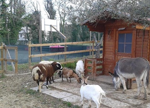 Centro Vacanze San Marino, 4* - 16