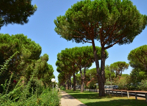 Camping Maïana Resort 4* - 11