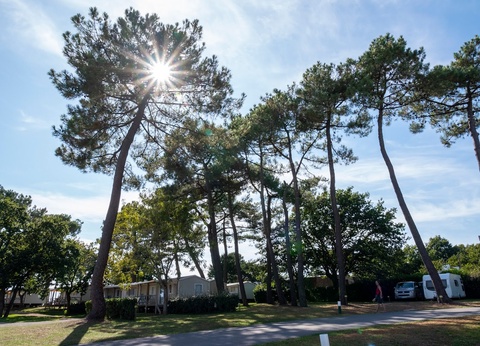 Camping Penn Mar 3* - 15