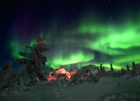 Club Jumbo Tankavaara Gold Village (activités incluses) - 20