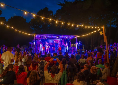 Camping Les Ajoncs d'Or, 4* - 20