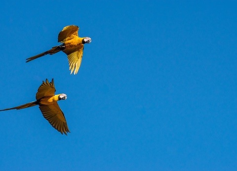 Circuit Trésors du Pérou et extension Amazonie *** - 2