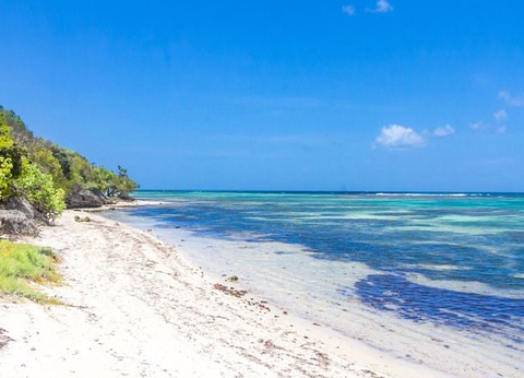 Les KAZ Créoles - 18