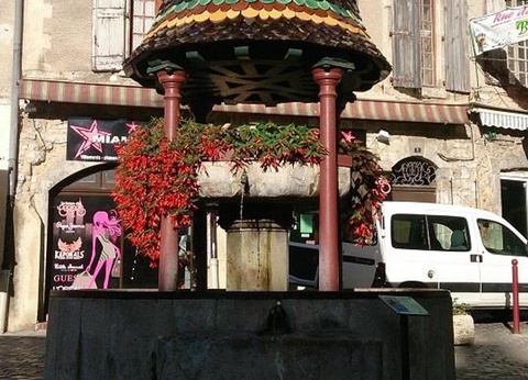 Camping l'Olivier, 3* - 31