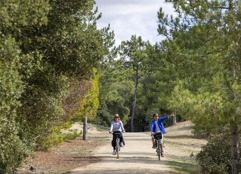 Flower Camping La Davière Plage, 4* - 67