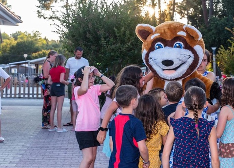 Camping Le Soleil des Landes 4* - 15