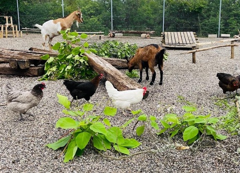 Camping Quercy Vacances, 4* - 9