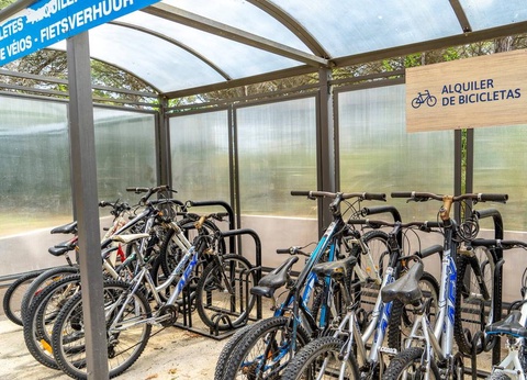 Camping Neptuno, 3* - 10