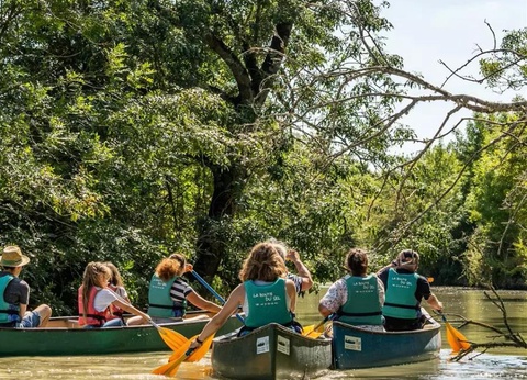 Camping maeva Escapades le Bois Joli, 4* - 35