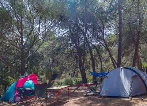 Flower Camping Torraccia 3* - 31