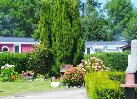 Flower Camping Vitamin, 4* - 38