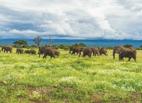 Safari Privatif - Aventure Tanzanienne - 4