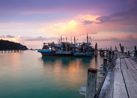 Malaisie en Liberté, Des Terres Sauvages de Taman Negara à l'île de Langkawi 4* - 6