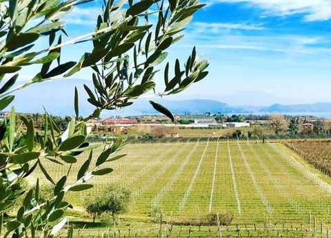 Villenpark Sanghen, 4* - 60