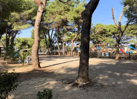 Camping La Masseria, 4* - 58