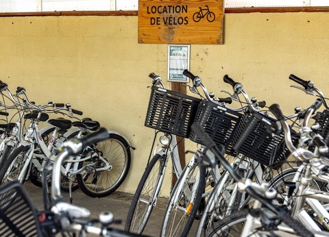 Camping Les Catalpas de Royan, 3* - 11