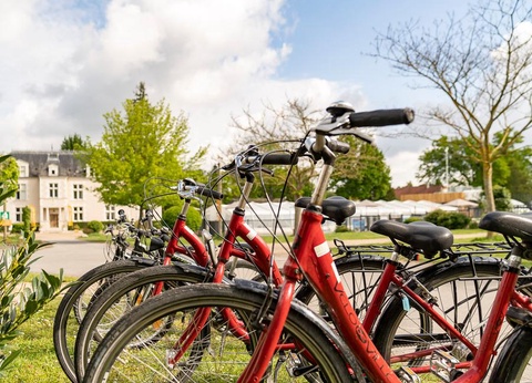 Camping Sandaya Le Château des Marais, 5* - 12