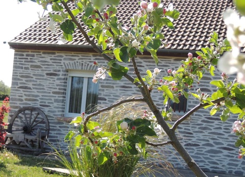 Les Chalets d'Auvergne, 4* - 27