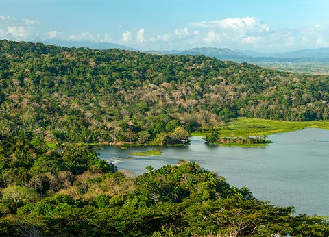 Circuit Panama authentique et plages du Pacifique (maximum 16 participants) - 9