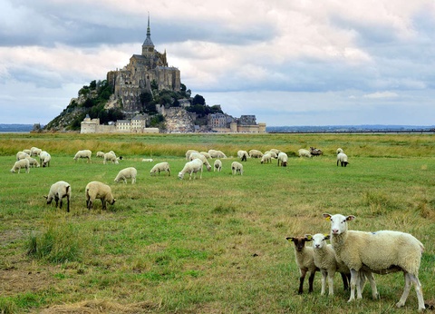 Escapade au coeur de la baie du Mont-Saint-Michel avec entrées à l'Abbaye - 3* - 18