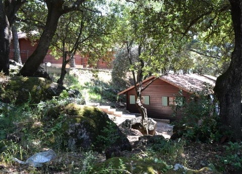 Camping l'Esplanade, 4* - 29