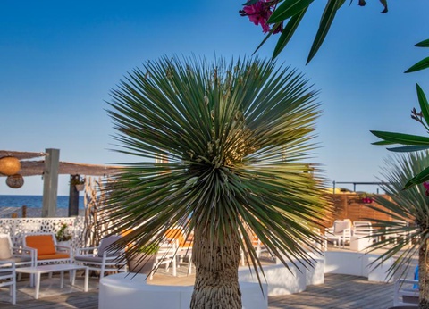 Camping Merendella, 4* - 40