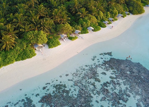 Hôtel Plumeria Maldives 4* - 23