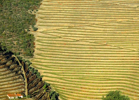 Autotour du Nord du Portugal : de Lisbonne à Porto en 3*/4* - 14