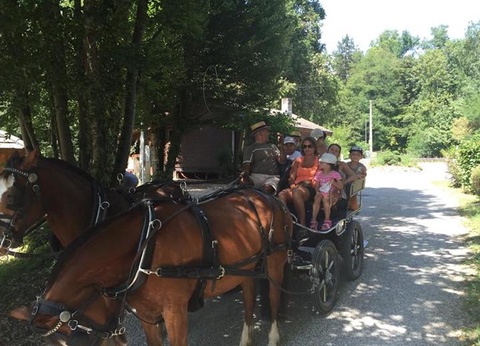 Camping Des 3 lacs, 4* - 58