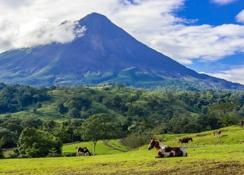 Circuit Beautés du Costa Rica *** - 16