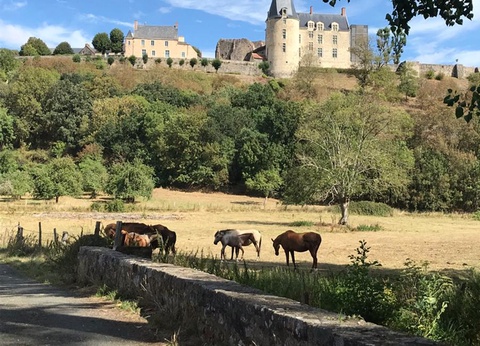 Glamping Sainte Suzanne - 47