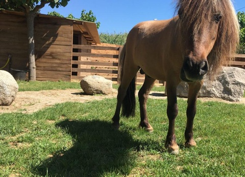 Camping Globo Barcelona, 4* - 32