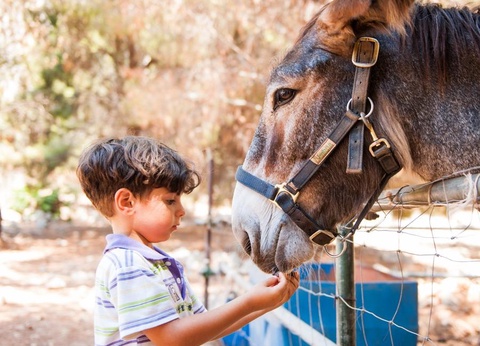 Camping Village El Bahira, 4* - 7