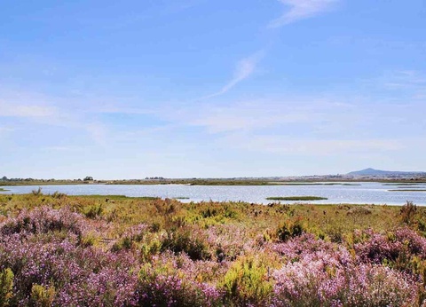 Ôclub Select AP Cabanas Beach & Nature Adult Only 4* - 27