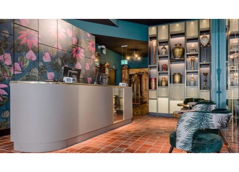 Découvrez Haarlem et les célèbres champs de tulipes de Keukenhof - 3* - 3