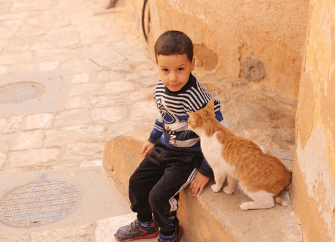 Circuit Ghardaïa, chef-d'oeuvre du Sahara - 13
