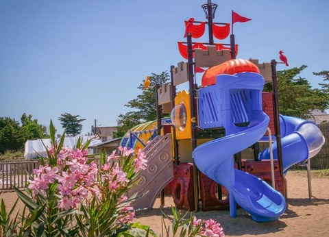 Flower Camping Les Paludiers, 4* - 9