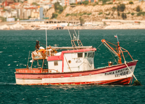 Circuit Légendes du Chili : De Valparaiso à Rapa Nui - 12