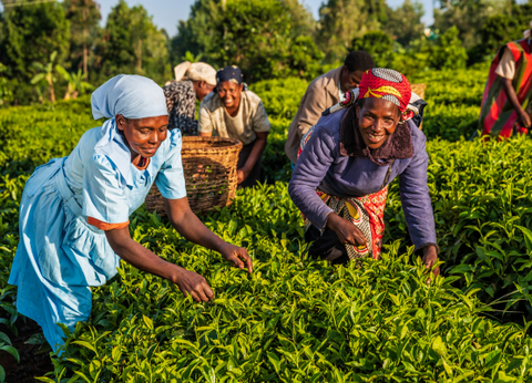 Circuit Safaris de Légende - 9