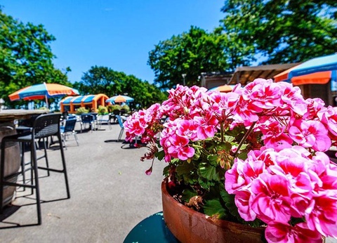 Camping Domaine de Bréhadour, 4* - 22