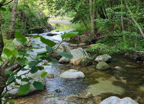 Camping Le Roubreau, 3* - 47