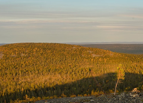 Hôtel Samperin Savotta 3* - 11