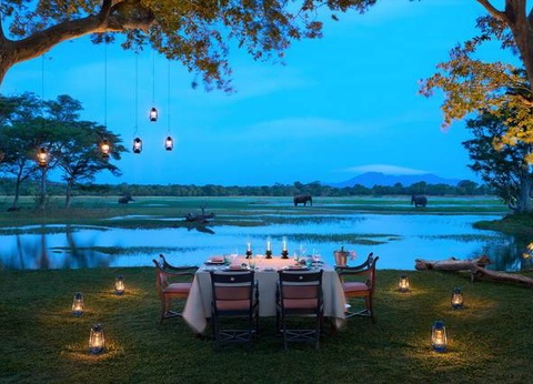 Circuit Carpe Diem au Sri Lanka - 9