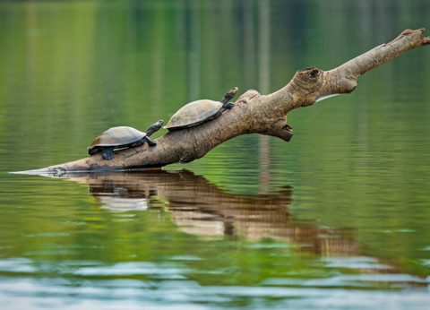 Circuit Equateur, Aventure entre 2 Hémisphères - 14