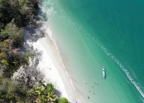 Circuit Panama, Couleur Café - 30